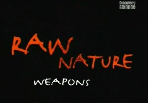Discovery:Дикая природа.Смертельное оружие/Raw nature.Weapons