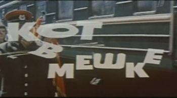 Кот в мешке