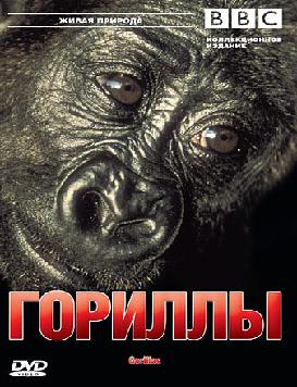 BBC: Гориллы / BBC: Wildlife Special: Gorillas