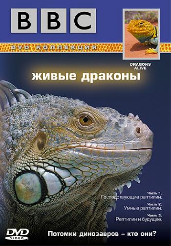 BBC: Живые драконы / BBC: Живые драконы