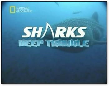 Акулы: Глубина страха / SHARKS: Deep Trouble