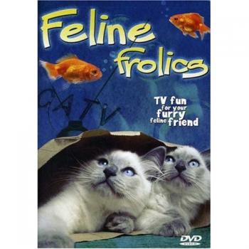 Feline Frolics - кино для кошек / Feline Frolics