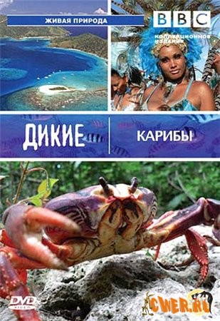 BBC: Дикие Карибы / BBC: Wild Caribbean