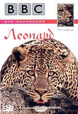 BBC: Плотоядные. Леопард / BBC: Leopard