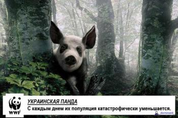 Лучшее, что я слышал!!! Drum'n'Bass (2007)