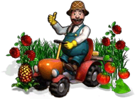 Чудо ферма Virtual farm (2008)