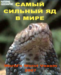 Самый сильный яд в мире / World's Worst Venom
