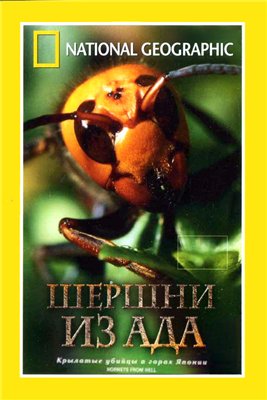 Шершни из ада / National Geographic : Hornets From Hell