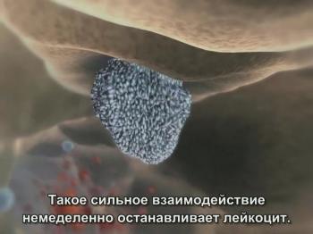 Внутренняя жизнь клетки / The Inner Life of the Cell