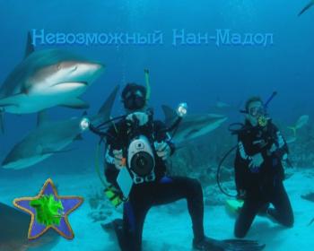 Подводный мир Андрея Макаревича - Невозможный Нан-Мадол / Подводный мир Андрея Макаревича - Невозможный Нан-Мадол
