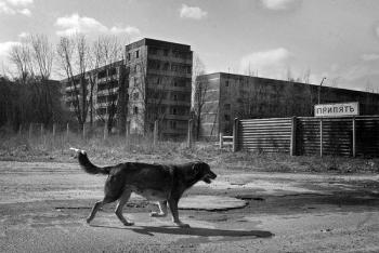 Припять / Pripyat