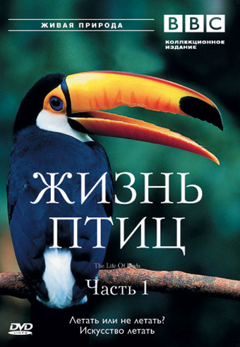 BBC: Жизнь птиц. 4 диска с 4 / BBC: The Life of Birds VO