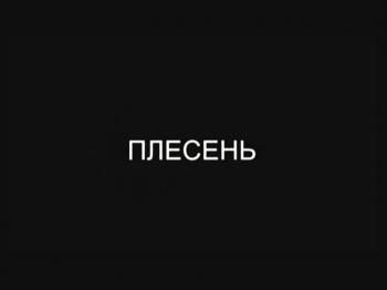 Плесень / Plesen