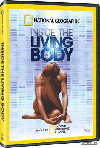 Внутри живого тела / National Geographic Inside the Living Body.