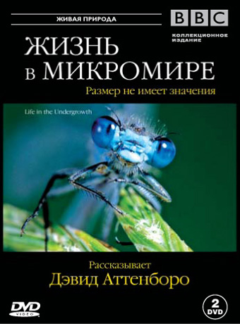 BBC: Жизнь в микромире. Близкие отношения / BBC: Life in the Undergrowth. Intimate relations