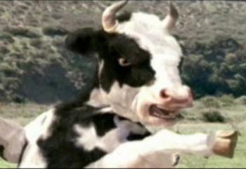 Корова Кунг-Фу / Cow Kung-Fu