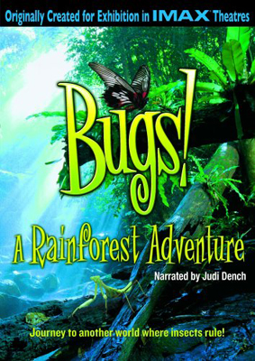 Жуки! 2D Приключения в тропическом лесу/Bugs! 2D A Rainforest Adventure pic
