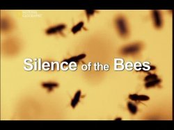 Молчание пчел / Silence of the Bees National Geografic