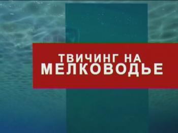 Твичинг на мелководье.Фильм Алексея Шанина /
