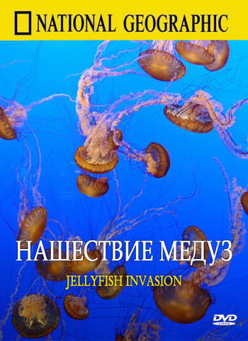 Нашествие медуз / Jellyfish invasion National Geographic