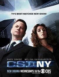 Место преступления: Нью-Йорк, 5 сезон 25 серий / CSI:NY