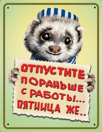 Прикольные таблички-инструкции