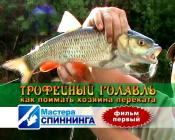 Мастера спиннинга.Фильм 1. Трофейный голавль.Как поймать хозяина переката /