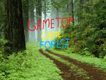 GameTop game Collection
