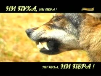 Ни пуха ни пера (7 передач) / Телеканал