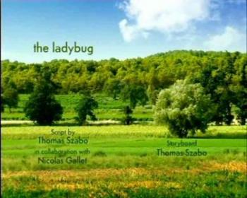 Божья коровка / Ladybug