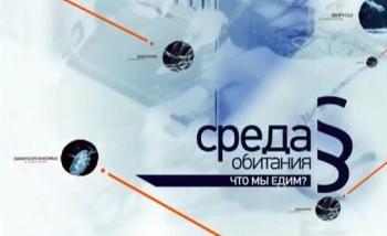 Среда обитания. Что мы едим?
