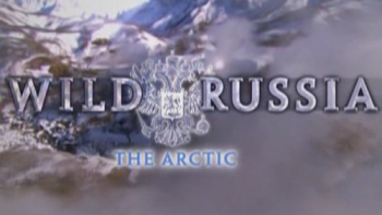 Дикая природа России.Заполярье / Wild Russia.The Arctic