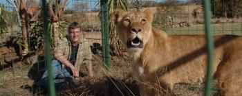 Неприрученные 2 сезон (10 серий из 10) / Wild at heart (Laughland Nick, O'Hanlon Jim и др.)
