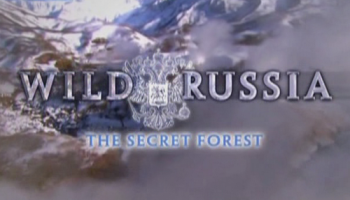 Дикая природа России.Лес секретов / Wild Russia.The Secret Forest