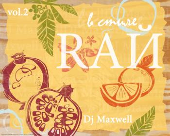 Dj Maxwell - в стиле RAЙ vol.2