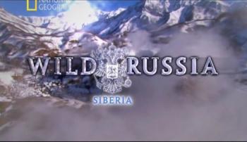 Дикая природа России. Сибирь / Wild Russia. Syberia