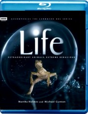 BBC: Жизнь (10 серий) / BBC: Life