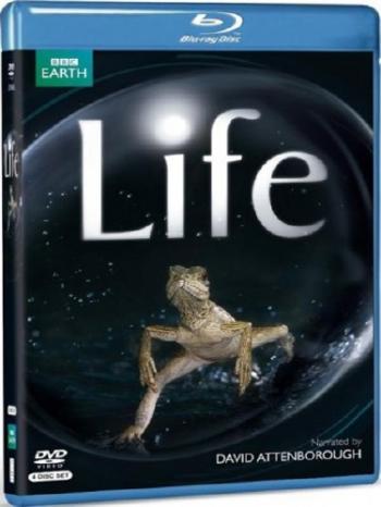 Жизнь / Life (10 серий)