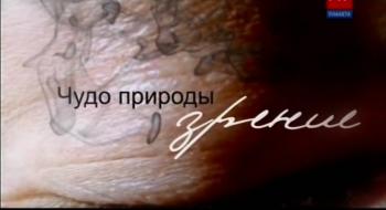 Чудо природы. Зрение.Фильм 1 /