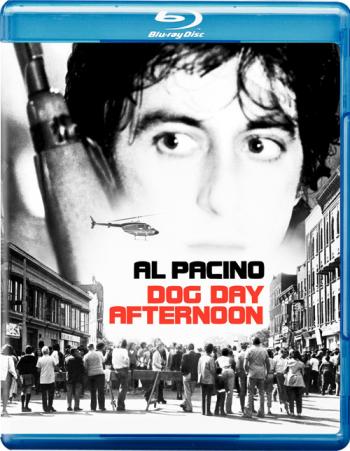 Собачий полдень / Dog Day Afternoon