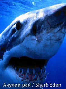 Акулий рай / Shark Eden