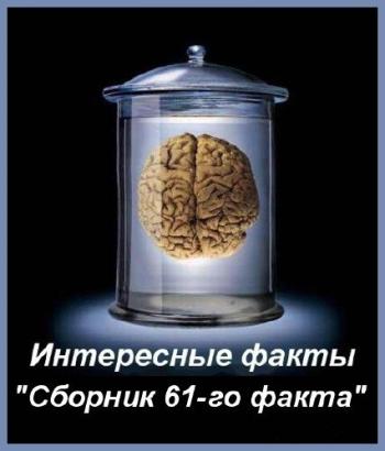 Интересные факты (Сборник 61-го факта) /