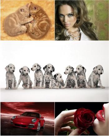 Amazing Desktop Wallpapers № 24