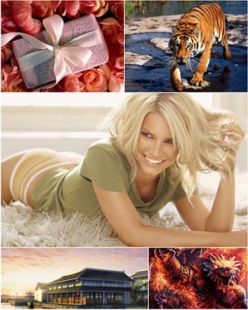 Best Mixed Wallpapers Pack № 42