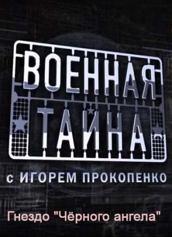 Военная тайна. Гнездо