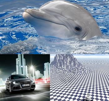 The Best Wallpapers pack №107