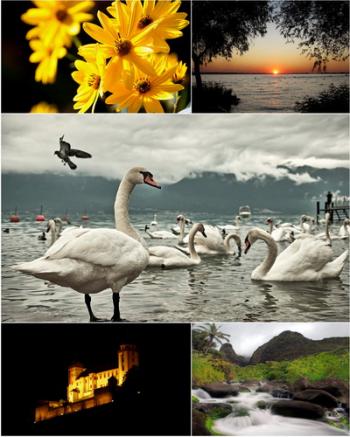 Airena wallapack № 106 - Nature