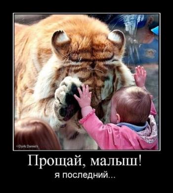Демотиваторы: Наша реальность