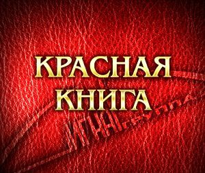 VA - Красная книга