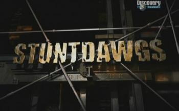 Трюкачи (1-13) / Stuntdawgs